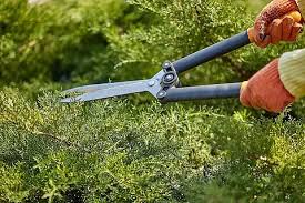 今年会jinnianhui 张家界城市绿化补偿费收费标准文件